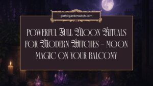 Full Moon Rituals for Modern Witches