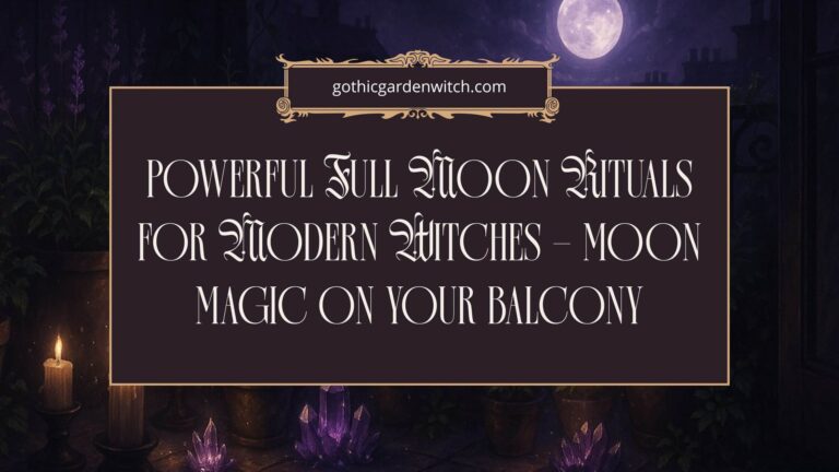 Full Moon Rituals for Modern Witches